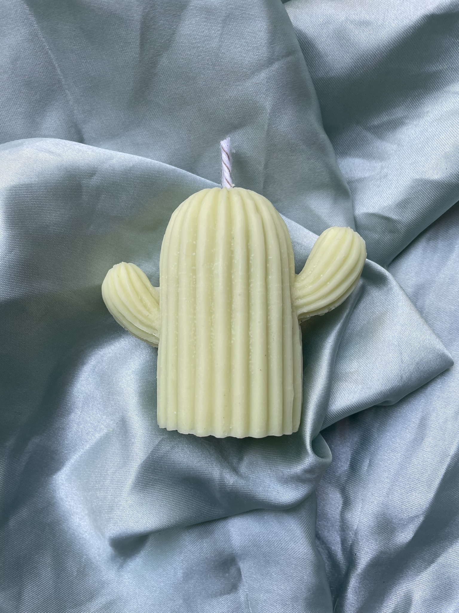 made by mabel, hand poured soy wax cacti candle