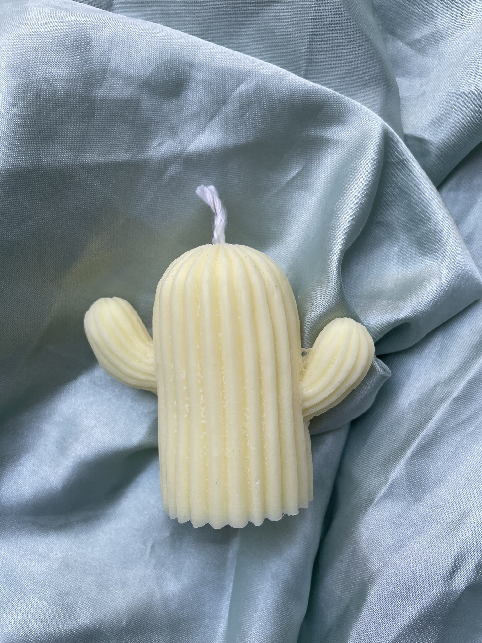 made by mabel, hand poured soy wax cacti candle